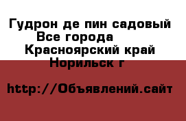 Гудрон де пин садовый - Все города  »    . Красноярский край,Норильск г.